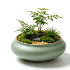 Mini Moss Terrarium Garden in Ceramic Bowl