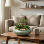 Mini Moss Terrarium Garden in Ceramic Bowl