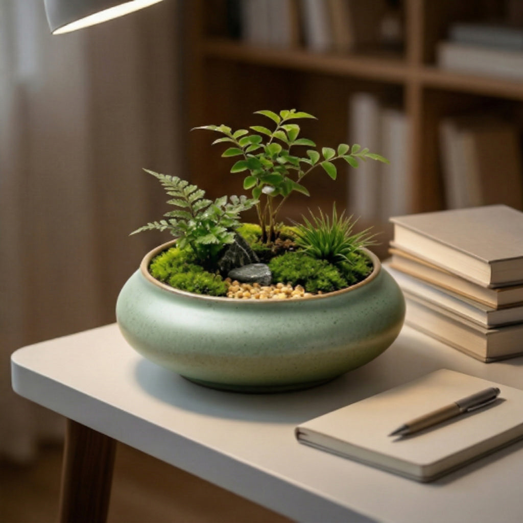 Mini Moss Terrarium Garden in Ceramic Bowl
