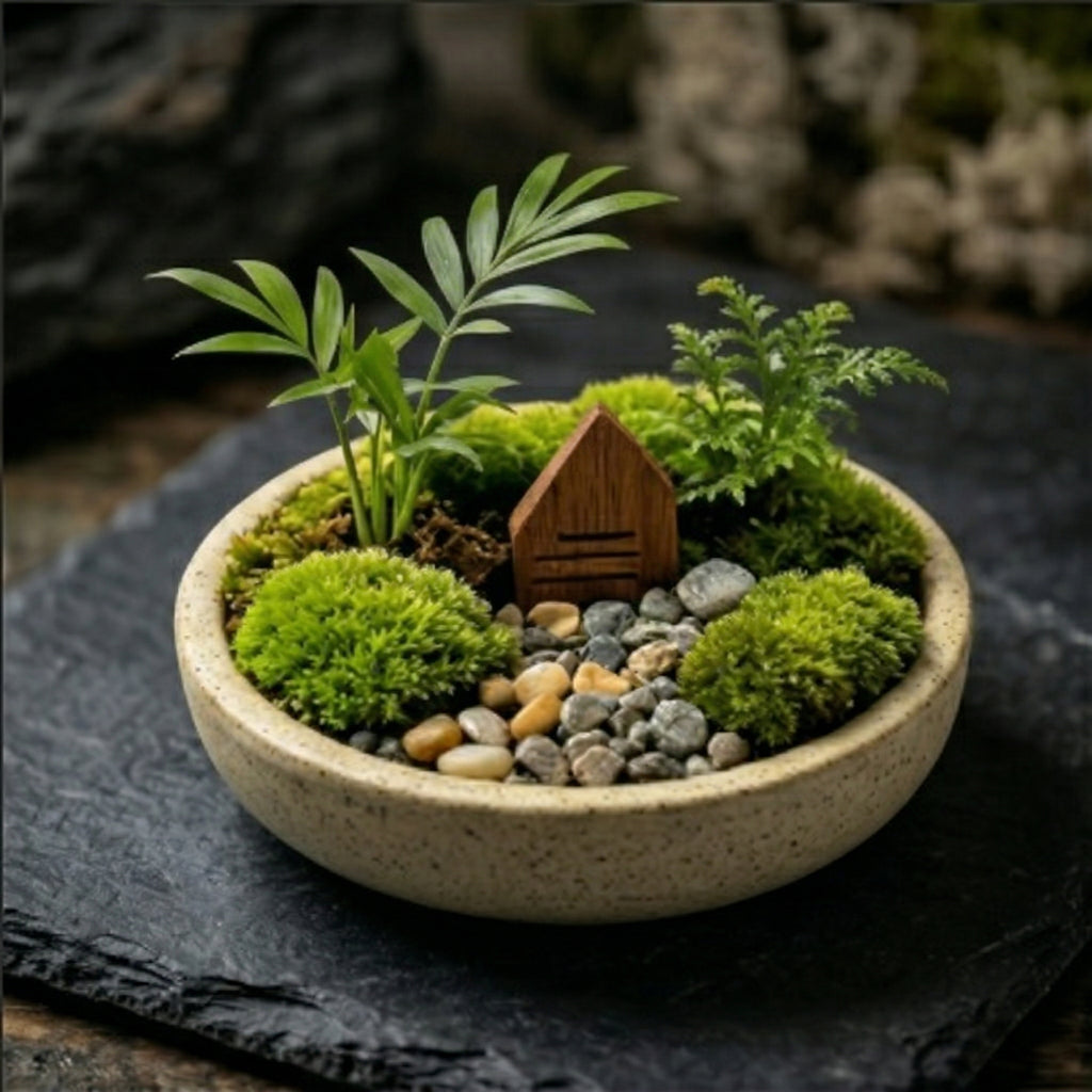 Mini Moss Landscape Planter with Woodland Cottage Accent