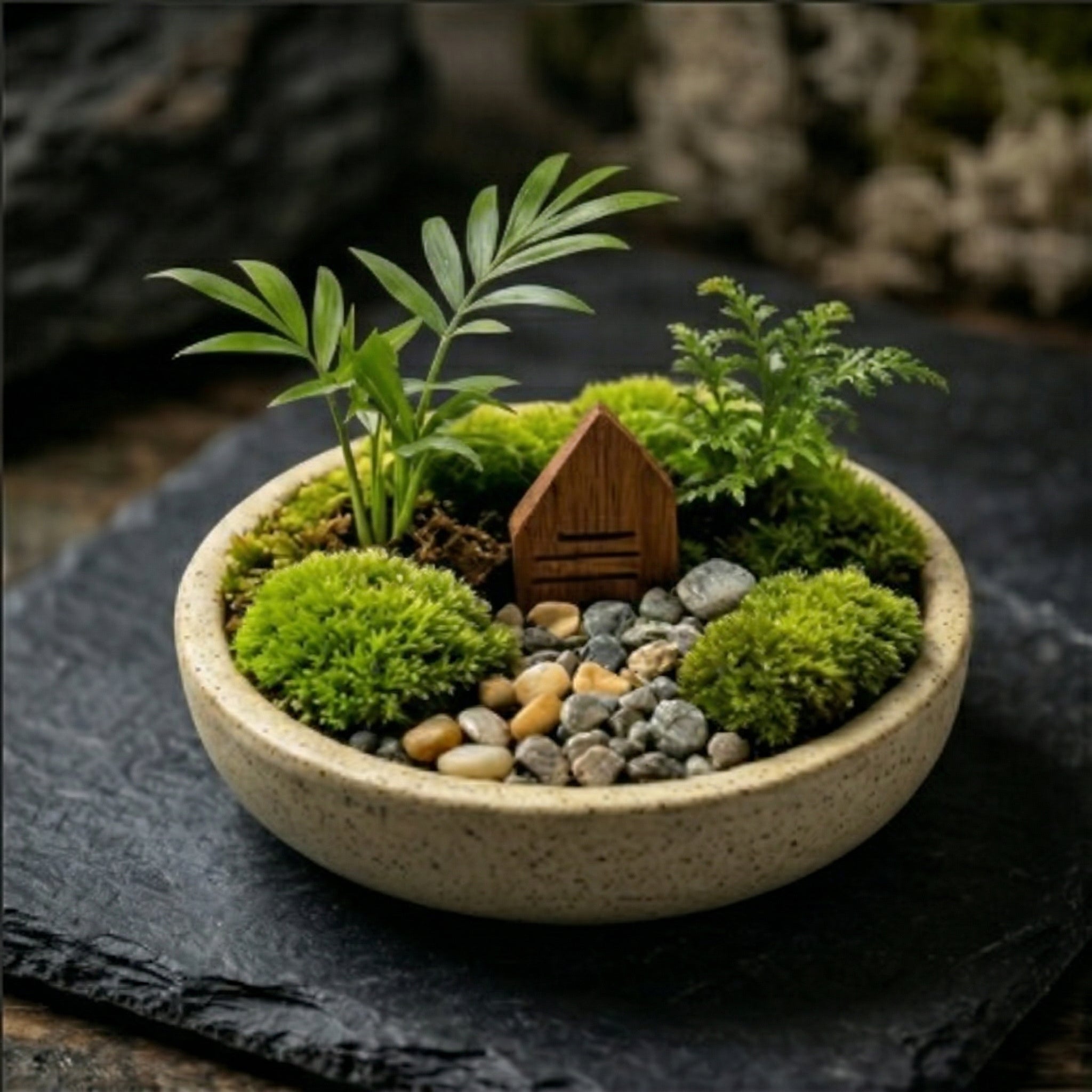 Mini Moss Landscape Planter with Woodland Cottage Accent