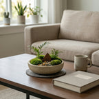 Mini Moss Landscape Planter with Woodland Cottage Accent