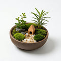 Mini Moss Landscape Planter with Wooden House Accent