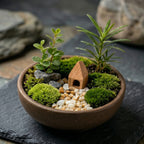 Mini Moss Landscape Planter with Wooden House Accent