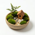 Mini Moss Garden Planter with Wooden House Accent