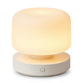 Modern Frosted Dome Table Lamp