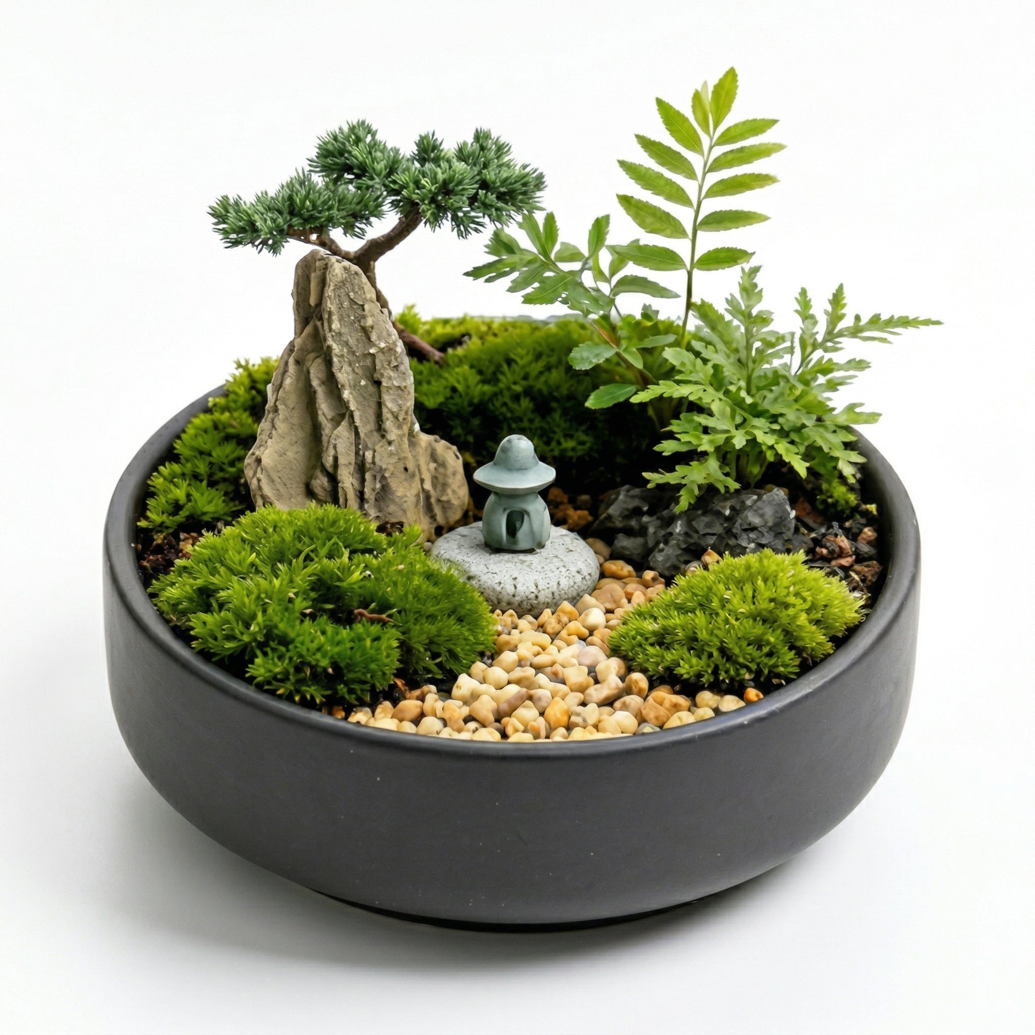 Zen Mountain Moss Micro Landscape Planter