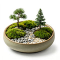 Mini Forest Moss Landscape Planter