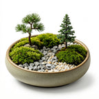 Mini Forest Moss Landscape Planter