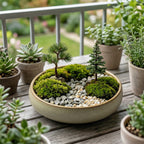 Mini Forest Moss Landscape Planter
