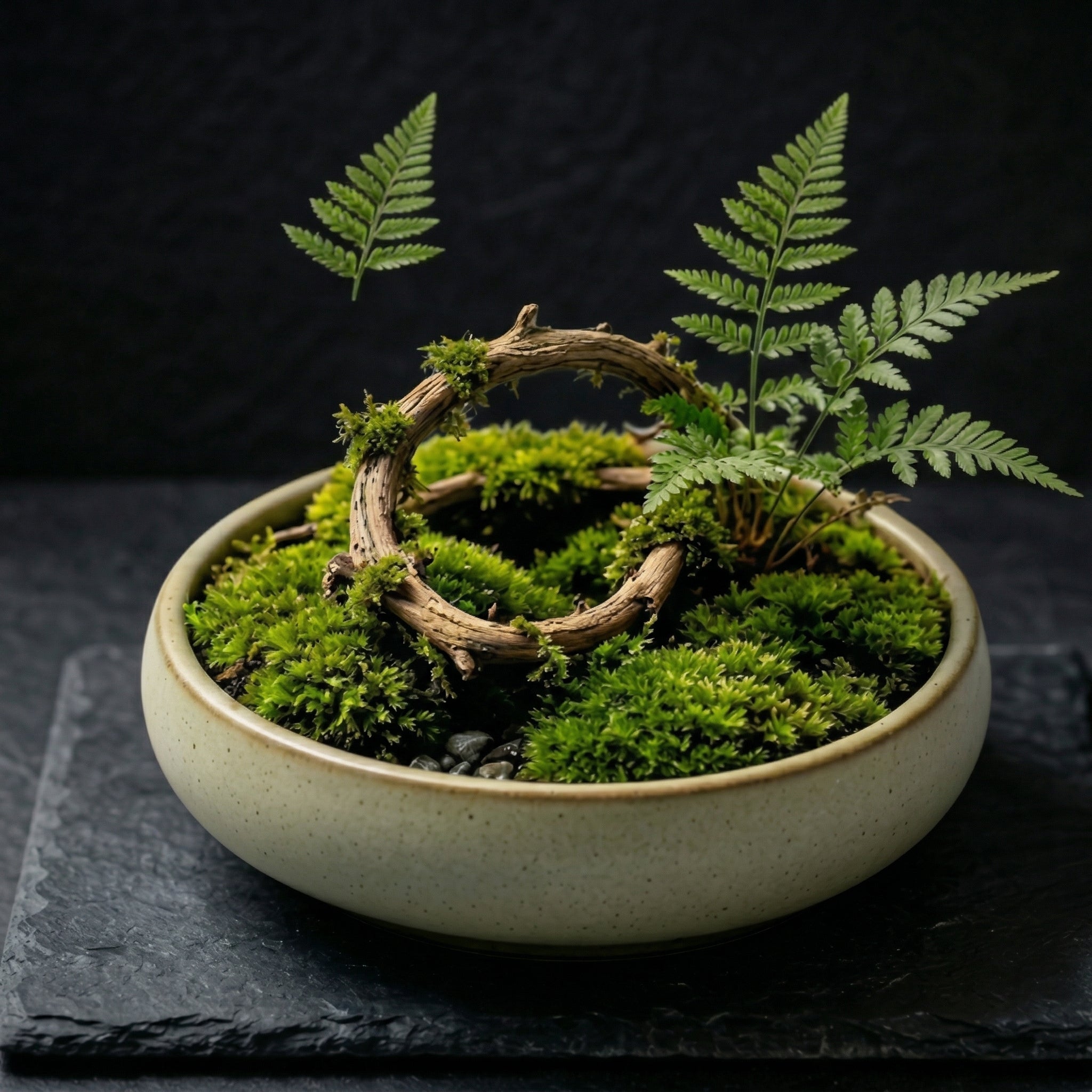 Woodland Ring Moss Micro Landscape Planter