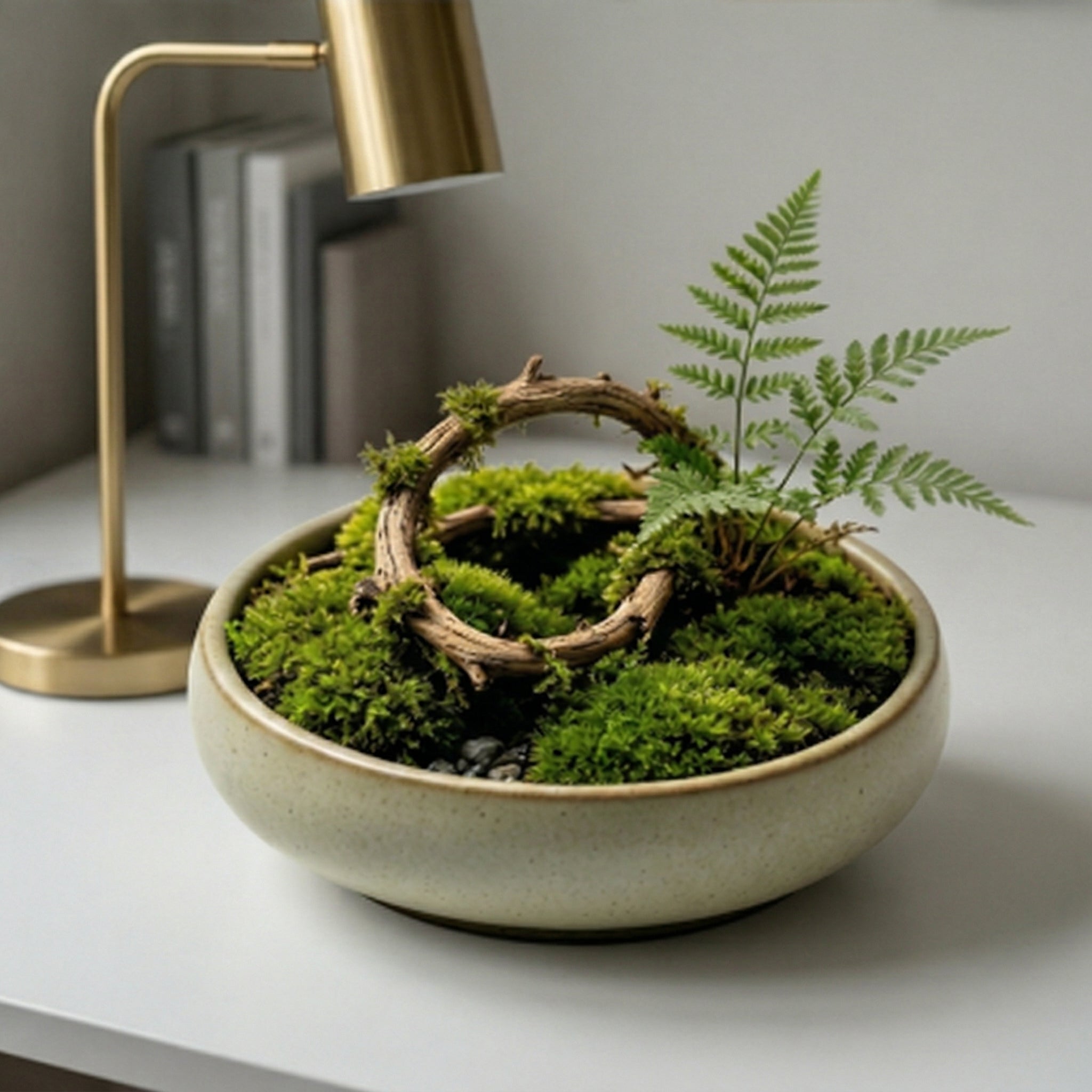 Woodland Ring Moss Micro Landscape Planter