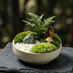 Enchanted Forest Moss Micro Landscape Planter