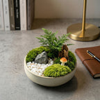 Enchanted Forest Moss Micro Landscape Planter
