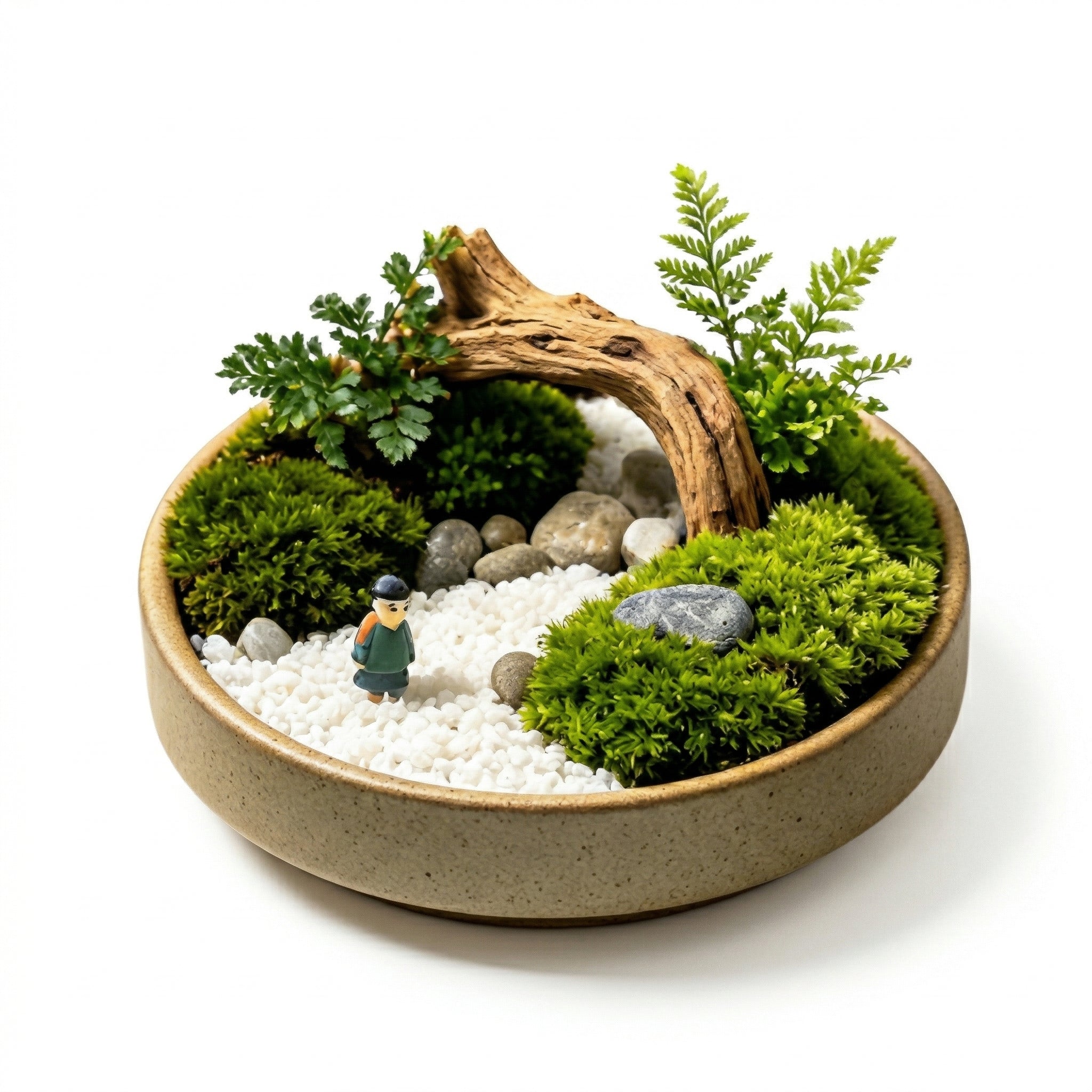 Mini Zen Moss Landscape Planter with Driftwood Bridge Accent