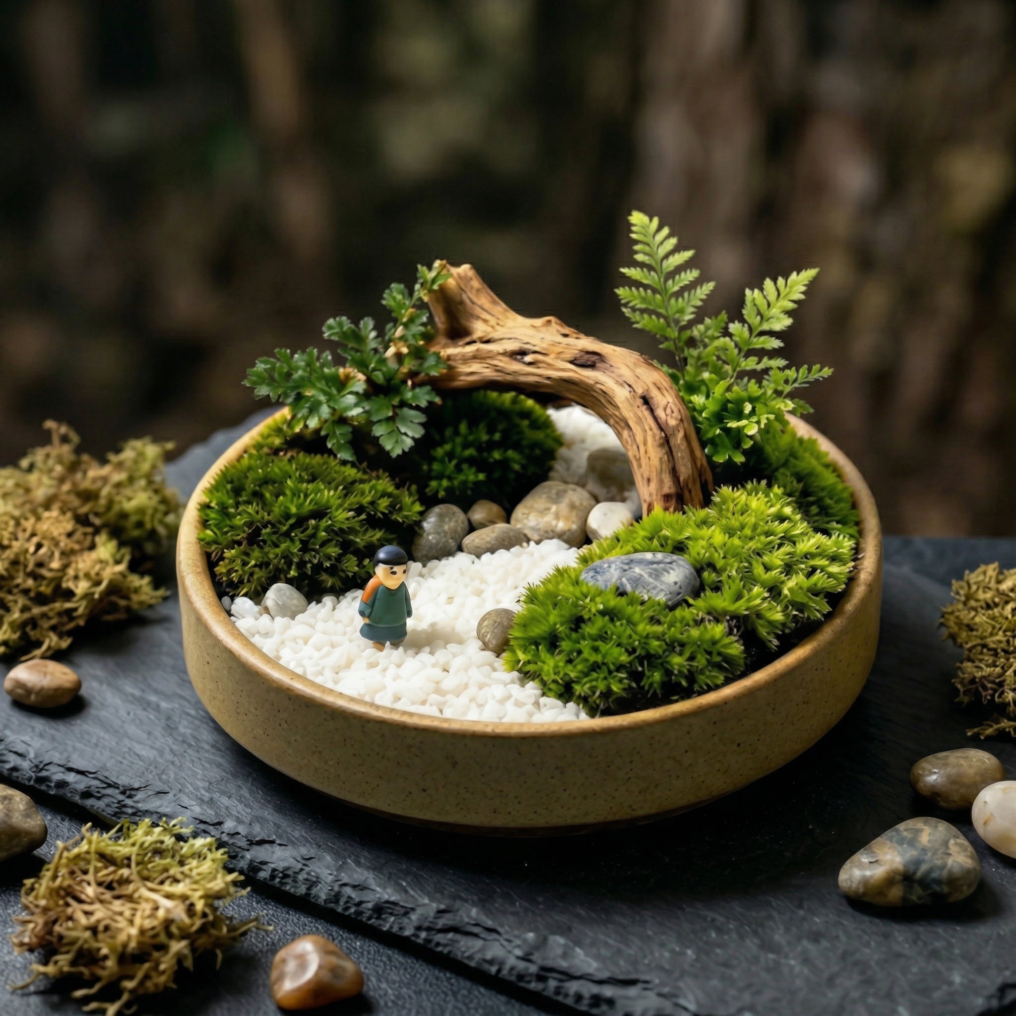 Mini Zen Moss Landscape Planter with Driftwood Bridge Accent