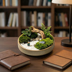 Mini Zen Moss Landscape Planter with Driftwood Bridge Accent
