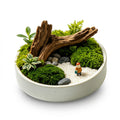 Mini Woodland Moss Landscape Planter with Driftwood Accent