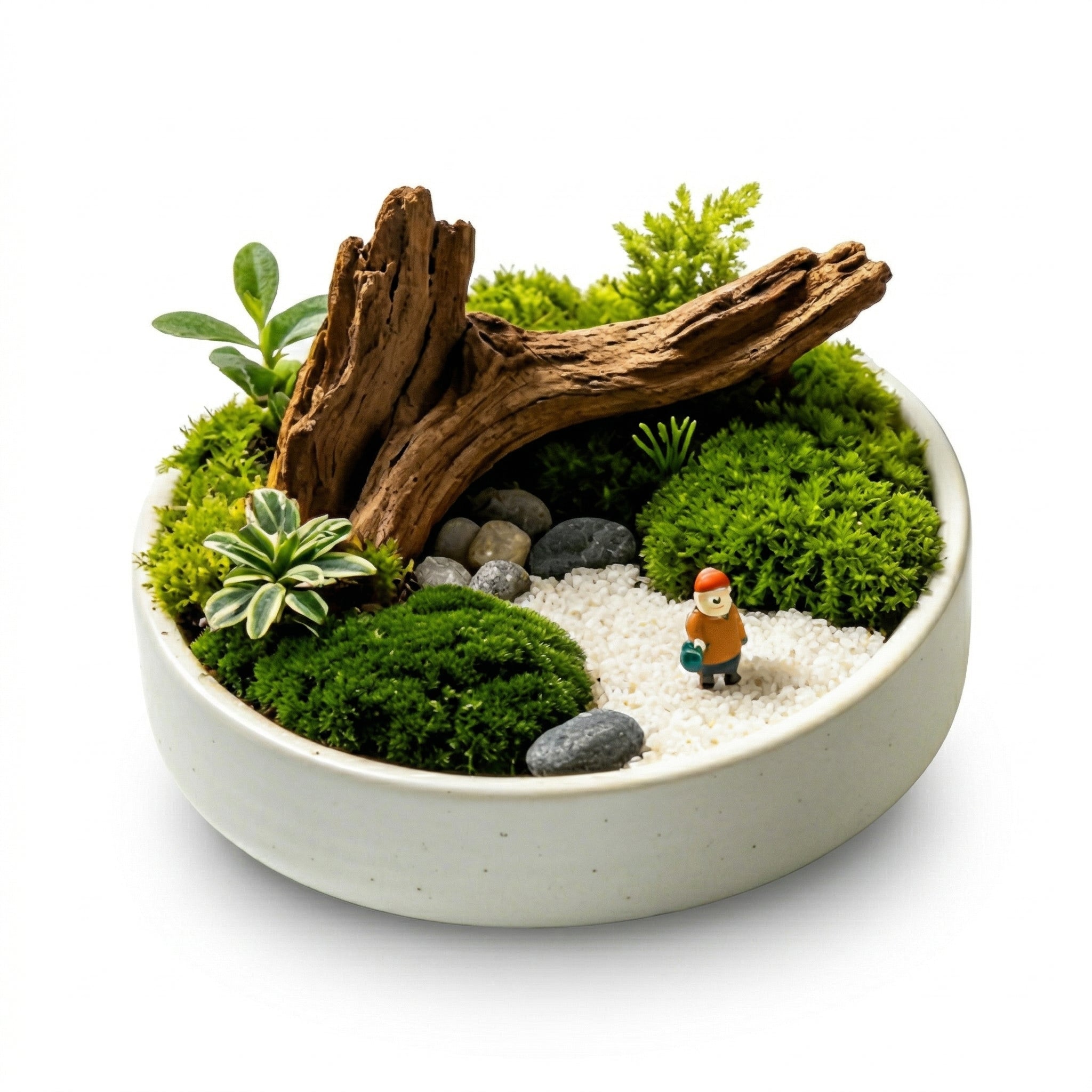 Mini Woodland Moss Landscape Planter with Driftwood Accent