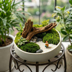 Mini Woodland Moss Landscape Planter with Driftwood Accent
