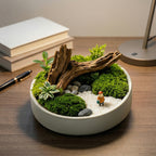Mini Woodland Moss Landscape Planter with Driftwood Accent