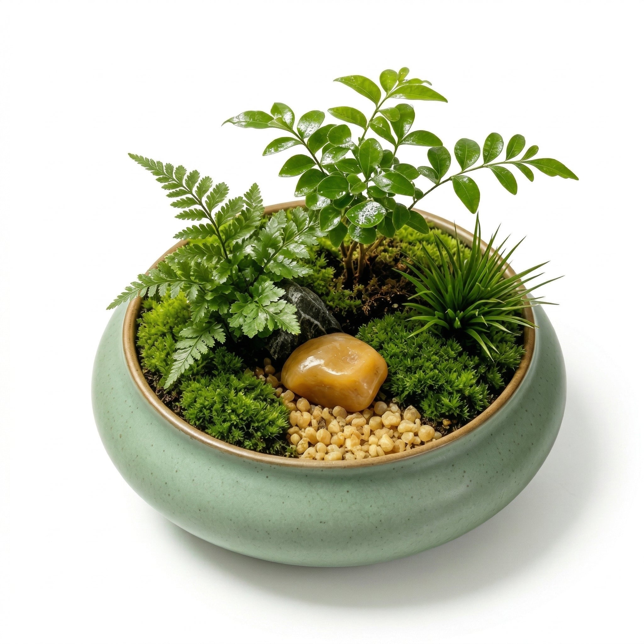Natural Moss Micro Landscape Ceramic Planter