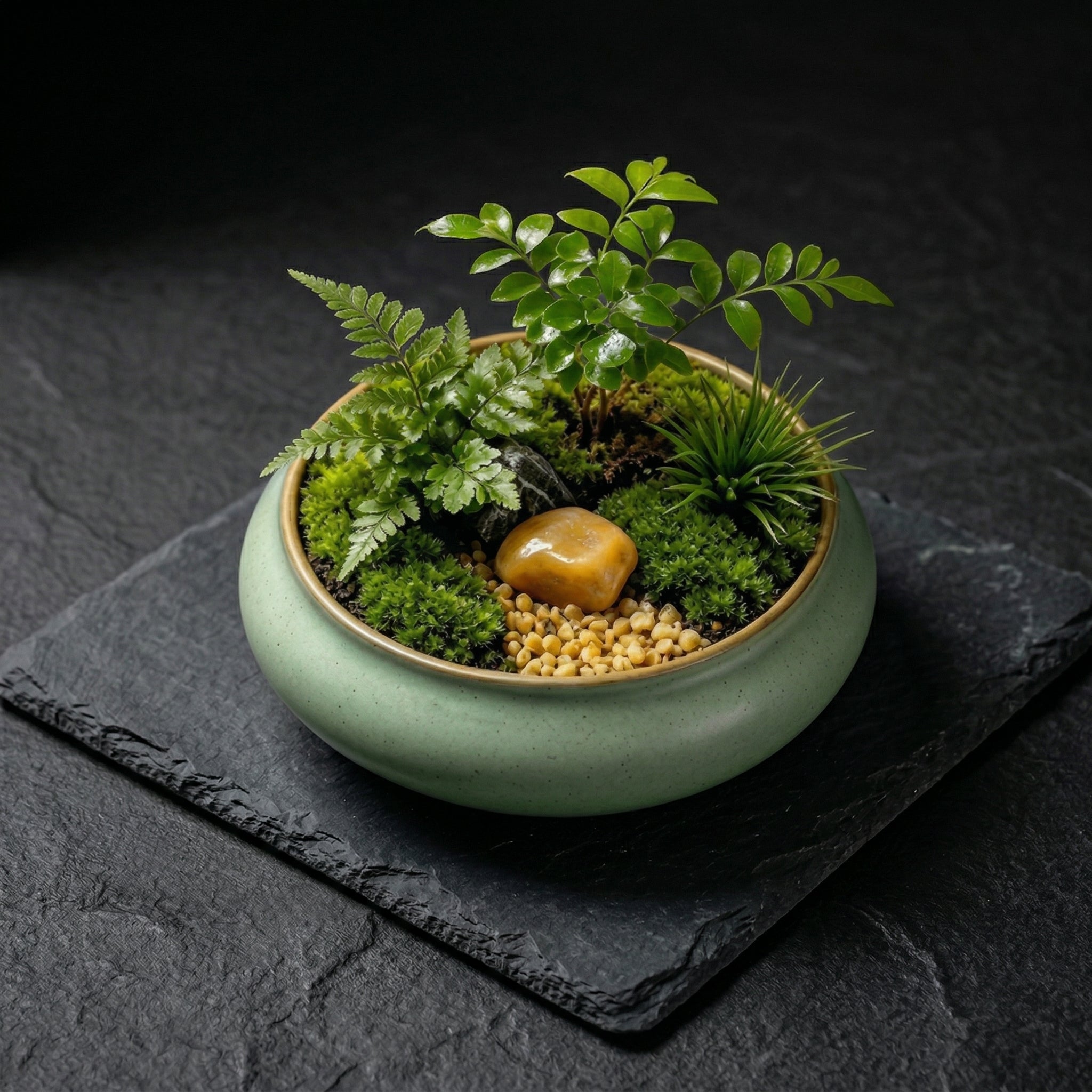 Natural Moss Micro Landscape Ceramic Planter