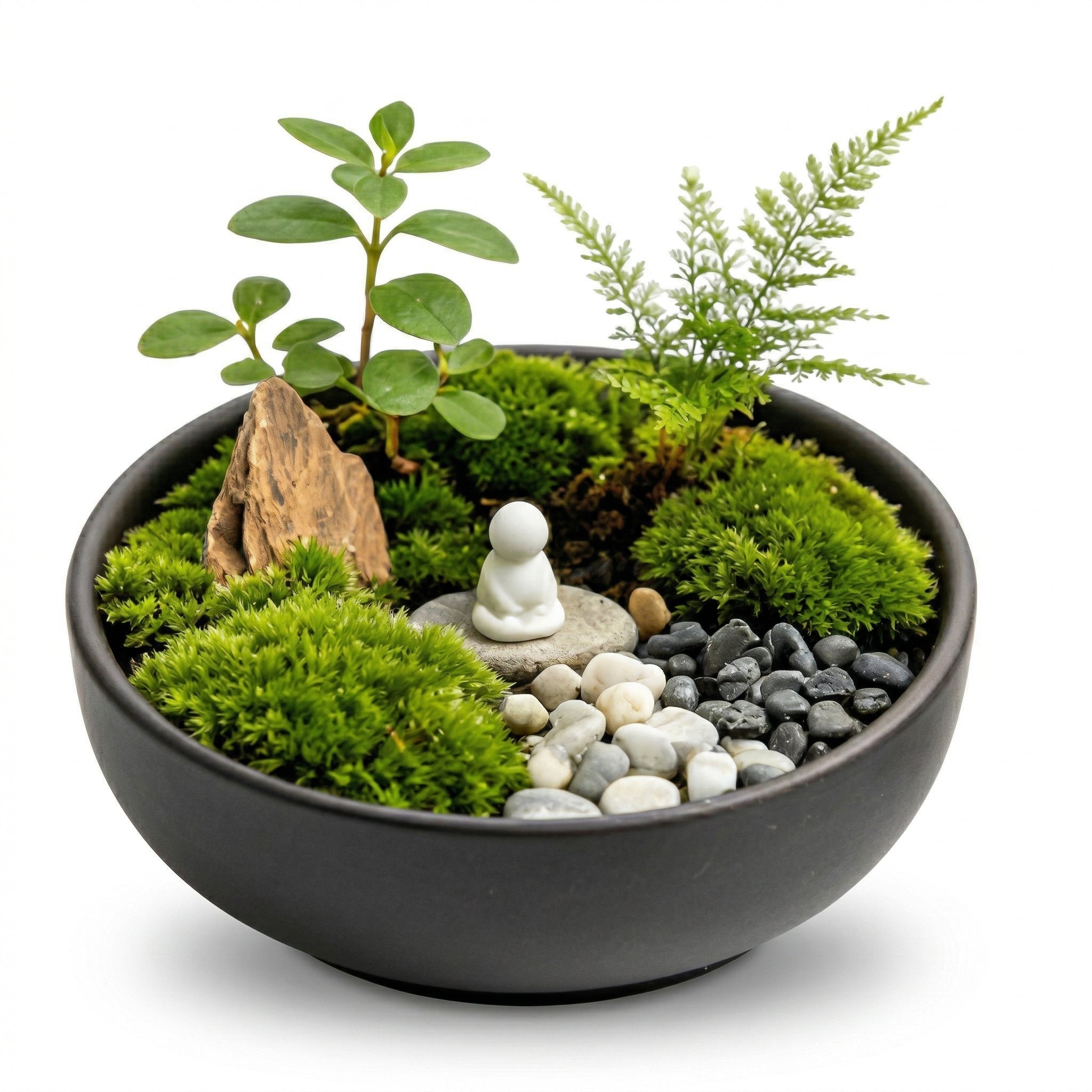 Zen Moss Micro Landscape in Black Ceramic Planter